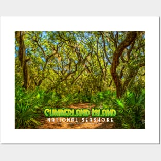 Cumberland Island National Seashore Posters and Art